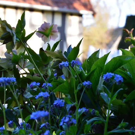 Сasa de vacaciones L'orée Des Prés - Familial - 4 étoiles - 8 Personnes Ouville-la-Riviere